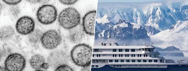 La variante Andes del hantavirus: por qué al principio asumimos zoonosis y ahora ya hablamos de contagio entre humanos