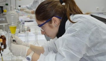 Google creará una IA para acelerar los descubrimientos científicos: «Es para ayudar a los investigadores, no para reemplazarlos»