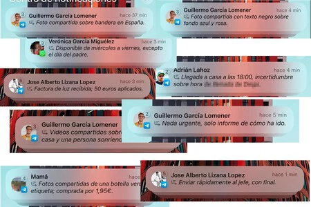 Notificaciones