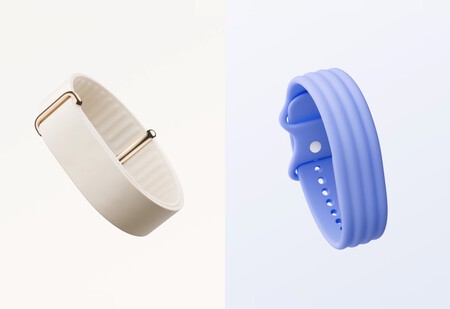 Fitbit Air Correas