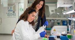 Un estudio logra una «marcada regresión» en cáncer de pulmón degradando la proteína KRAS