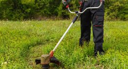 Las cinco desbrozadoras a batería mejor valoradas en Amazon para cuidar tu jardín sin esfuerzo