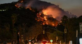 Fuego para prevenir los incendios: funciona y es rentable