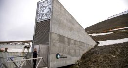 La Bóveda de Semillas de Svalbard, el seguro de la humanidad contra el hambre, recibe el Princesa de Asturias de Cooperación Internacional
