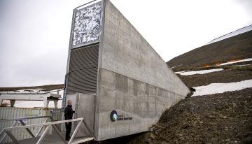 La Bóveda de Semillas de Svalbard, el seguro de la humanidad contra el hambre, recibe el Princesa de Asturias de Cooperación Internacional