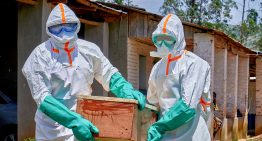 El brote de ébola alcanza ya los 220 muertos: “La epidemia nos está superando”