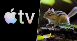 La serie que te hace sentir que el mundo es enorme mirando lo más pequeño. Y solo está en Apple TV
