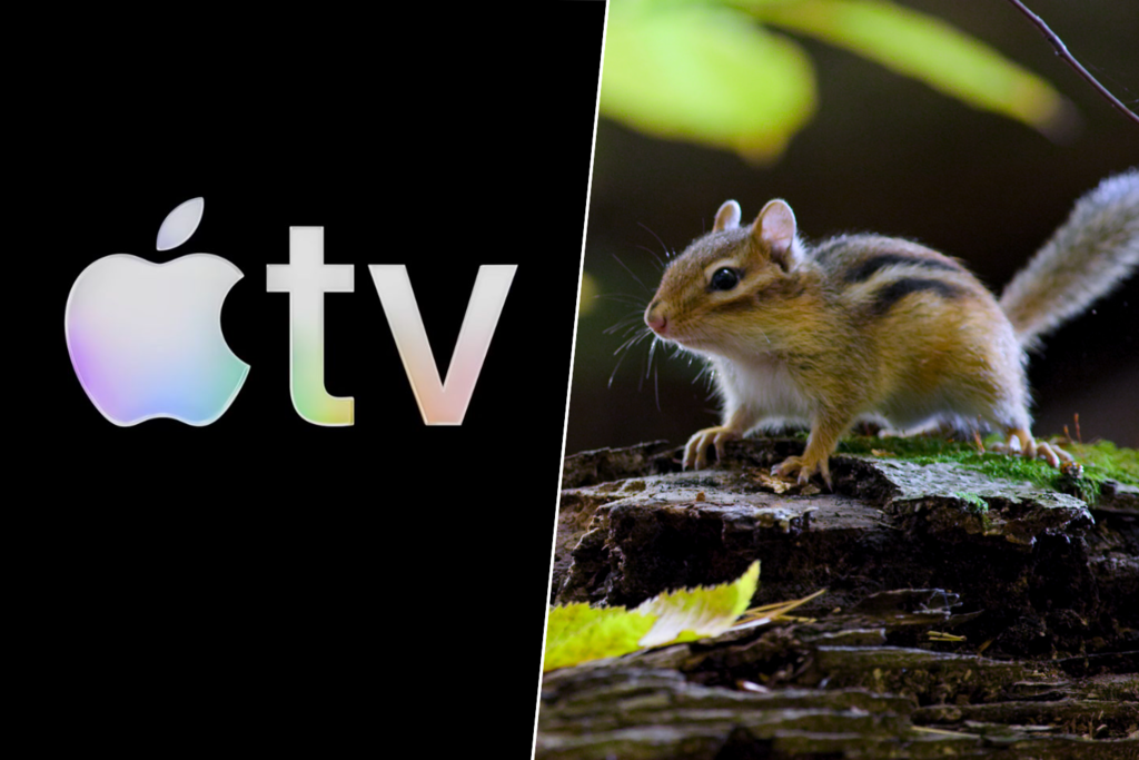 La serie que te hace sentir que el mundo es enorme mirando lo más pequeño. Y solo está en Apple TV 