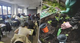 Los estudiantes de la PAU se han obsesionado con la FP de Jardinería. En realidad tiene todo el sentido
