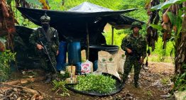 En 2016 Colombia firmó un acuerdo de paz histórico. Luego la superficie dedicada al cultivo de cocaína se disparó