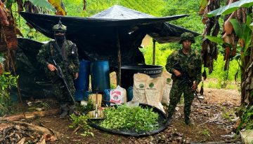 En 2016 Colombia firmó un acuerdo de paz histórico. Luego la superficie dedicada al cultivo de cocaína se disparó
