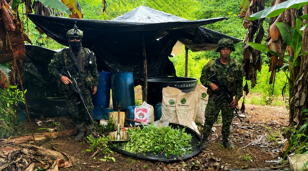En 2016 Colombia firmó un acuerdo de paz histórico. Luego la superficie dedicada al cultivo de cocaína se disparó