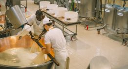 La fiebre del queso cottage está siendo tan salvaje que se ha convertido en un dolor de cabeza hasta para Mercadona: la industria no está lista para TikTok