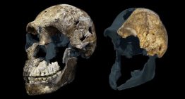 El yacimiento fósil más controvertido de la evolución humana se ha vuelto aún más desconcertante: ¿Por qué solo hay mujeres?