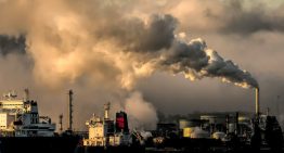 Raffaele Bernadello, experto en cambio climático: «La necesidad de capturar activamente CO₂ es cada vez más evidente»