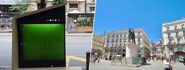 Las ciudades españolas son hostiles a los árboles. Alguien cree tener la solución: "árboles líquidos"