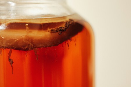 Kombucha Casera