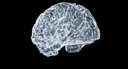 El tumor cerebral, la enfermedad que más miedo genera: un 60% de los españoles tiene una «alta» preocupación por recibir ese diagnóstico