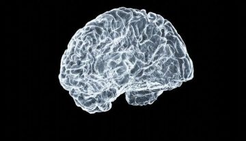 El tumor cerebral, la enfermedad que más miedo genera: un 60% de los españoles tiene una «alta» preocupación por recibir ese diagnóstico