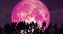 La Luna de fresa de junio marca la primera gran cita astronómica del verano