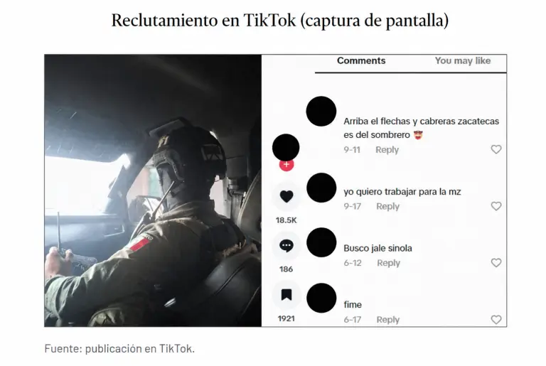 Del scroll al “jale”: así operan las estrategias de reclutamiento criminal en TikTok