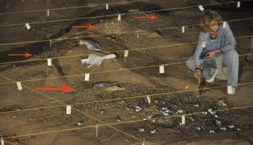 Nuestros ancestros aprendieron a utilizar el fuego antes de lo que creíamos: un estudio español encuentra restos de 'fogatas' de hace 1,8 millones de años