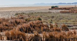 Hallada la mitad de un cuerpo humano en avanzado estado de descomposición en la playa de El Saler de Valencia