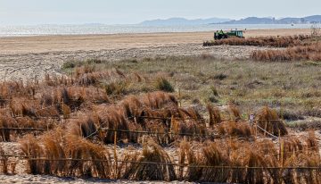 Hallada la mitad de un cuerpo humano en avanzado estado de descomposición en la playa de El Saler de Valencia