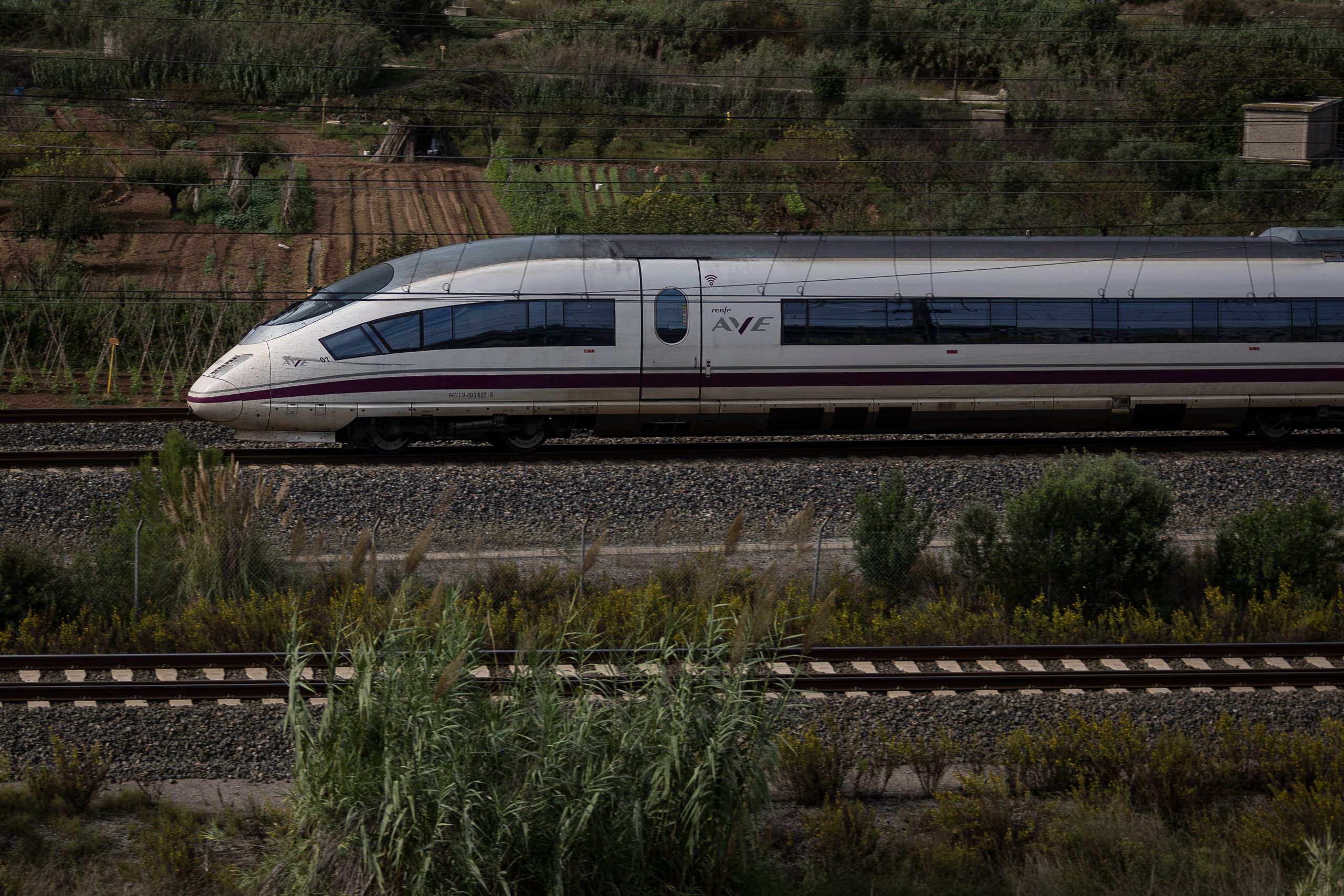 Un tren de alta velocidad, a su paso por El Papiol (Barcelona).