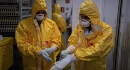 La fiebre hemorrágica de Crimea-Congo, el virus transmitido por garrapatas que más preocupa a los médicos