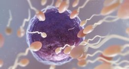 El esperma también envejece: los hombres mayores de 45 años tienen un 31% más de mutaciones genéticas que los menores de 30