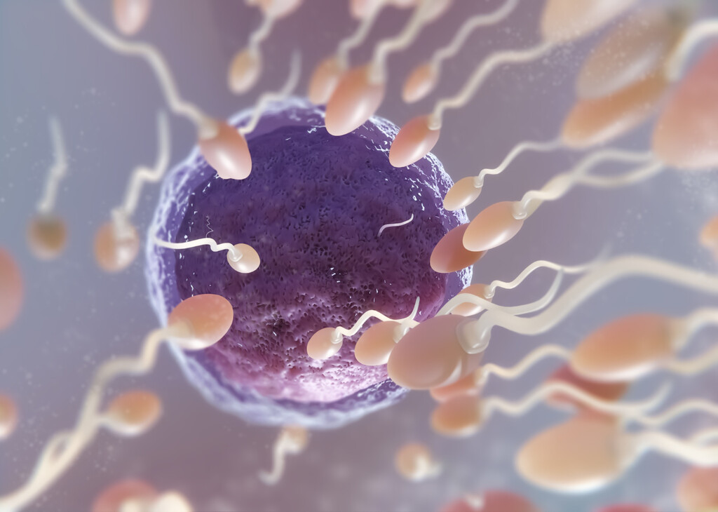 El esperma también envejece: los hombres mayores de 45 años tienen un 31% más de mutaciones genéticas que los menores de 30 