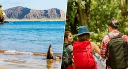 No es que el turismo de masas se haya instalado en Madrid, Barcelona o Roma, es que ha llegado hasta las islas Galápagos