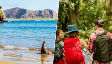 No es que el turismo de masas se haya instalado en Madrid, Barcelona o Roma, es que ha llegado hasta las islas Galápagos