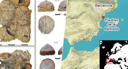 Unos pescadores de Benicarló creyeron pescar chatarra romana: era el mayor lote de cascos medievales hallado en España