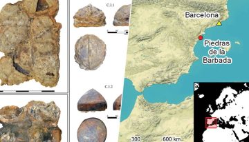 Unos pescadores de Benicarló creyeron pescar chatarra romana: era el mayor lote de cascos medievales hallado en España