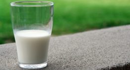 Llevamos años escuchando que los adultos no tienen que beber leche. Los últimos estudios dicen todo lo contrario