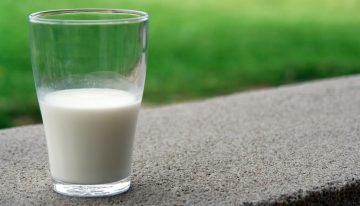 Llevamos años escuchando que los adultos no tienen que beber leche. Los últimos estudios dicen todo lo contrario