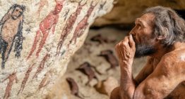 Pensábamos que crecer definía al género 'Homo' desde sus inicios. Un análisis masivo demuestra que nos equivocábamos