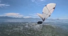 El MIT ha diseñado un robot que vuela y bucea como un ave marina, pero sin patas: el truco está en el ángulo de despegue