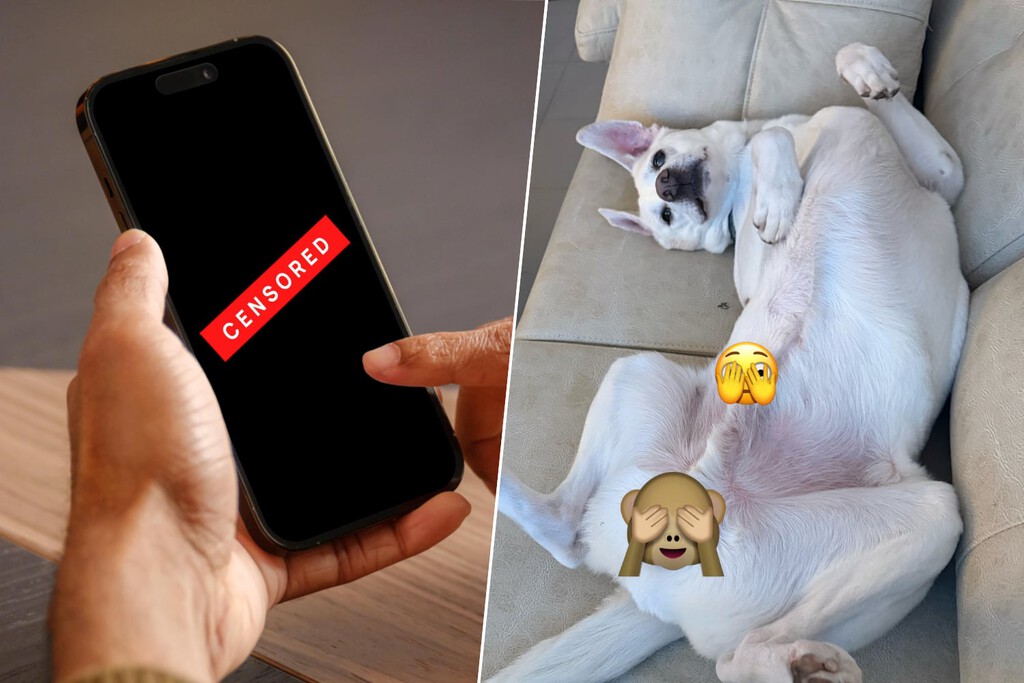 Te llega un mensaje, el iPhone lo difumina por ser "contenido explícito" y te esperas lo peor. Al final solo era un perro 