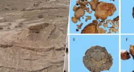 Hemos encontrado un excremento fosilizado y ahora sabemos que en el desierto más árido de Asia hace 4.000 años había un bosque