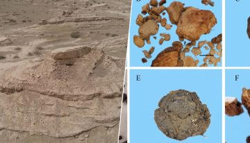 Hemos encontrado un excremento fosilizado y ahora sabemos que en el desierto más árido de Asia hace 4.000 años había un bosque