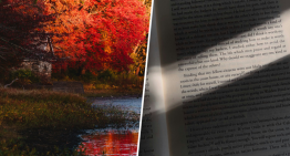 Henry David Thoreau, filósofo, «en mi casa tenía tres sillas, una para la soledad, otra para la amistad y la tercera para la sociedad»