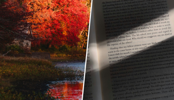 Henry David Thoreau, filósofo, «en mi casa tenía tres sillas, una para la soledad, otra para la amistad y la tercera para la sociedad»