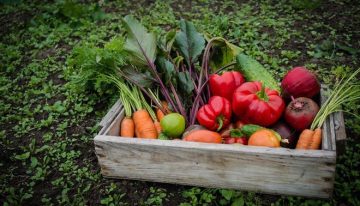 La dieta mediterránea vegana puede mejorar el colesterol y el dolor en mujeres con fibromialgia