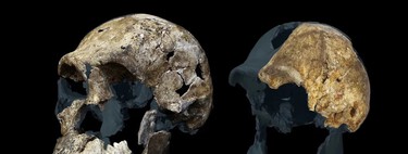 Hace diez años descubrimos un misterioso pariente lejano del Homo sapiens. Hoy ese misterio no hace sino agrandarse