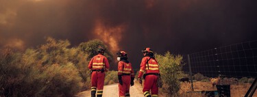 El incendio de Ávila es la prueba de una nueva realidad en España: los récord del fuego ya se pulverizan de un año a otro