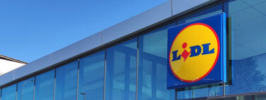 Lidl reta a Leroy Merlin con el kit solar con el que tener luz gratis en casa sin obras ni papeleos al precio más barato  