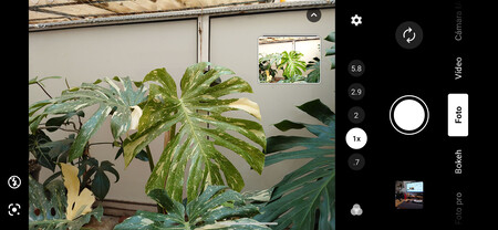 Sony Xperia 1 Viii 15